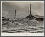 Small sawmill, Childs, Florida, owned by "wealthy" man, Mr. Warren in Fort Meade, Florida. Negro workers build their own shacks out of old lumber from around there, work ten hours a day for two dollars, six days a week. The children don't go to school