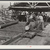 Sawmill. Childs, Florida