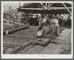 Sawmill. Childs, Florida