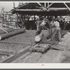 Sawmill. Childs, Florida