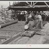 Sawmill. Childs, Florida