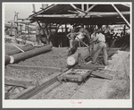 Sawmill. Childs, Florida
