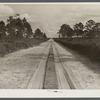 Typical Florida road and country near Winter Haven