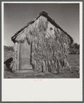 Front of thatched house made of palm leaves near Moore Haven, Florida
