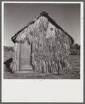 Front of thatched house made of palm leaves near Moore Haven, Florida