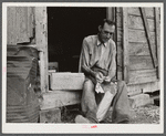 Former railroad worker shelling beans for his supper in front of his shack. He is now picking beans in Belle Glade, Florida