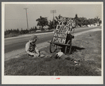 Cart which traveling preacher uses near Belle Glade, Florida
