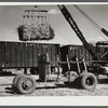 Loading sugarcane for USSC (United States Sugar Corporation) near Clewiston, Florida