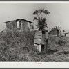 Migrant vegetable pickers and packinghouse workers living quarters off main highway near Lake Harbor, Florida