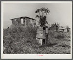 Migrant vegetable pickers and packinghouse workers living quarters off main highway near Lake Harbor, Florida