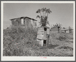 Migrant vegetable pickers and packinghouse workers living quarters off main highway near Lake Harbor, Florida
