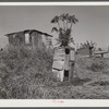 Migrant vegetable pickers and packinghouse workers living quarters off main highway near Lake Harbor, Florida