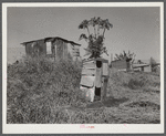Migrant vegetable pickers and packinghouse workers living quarters off main highway near Lake Harbor, Florida