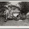 Migratory vegetables pickers and packinghouse workers' living quarters near Belle Glade, Florida