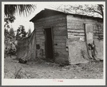 Migrant vegetable pickers and packinghouse workers living quarters. This shack rents for eight dollars a month: no water, light, or sanitary facilities. Eleven people sleep in it. Near Canal Point, Florida