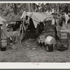 Migrant packinghouse workers living quarters. Just enough land to set up camp rents for five dollars per month. They have to clear it themselves. No water, lights, or sanitary facilities. Near Canal Point, Florida