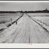One of the county-constructed roads, eleven miles, without cost to the government, through Flint River Farms, Georgia