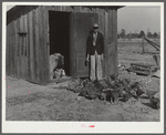 Mrs. Brown's son and some of the chickens he raised. Inside poultry house can be seen part of the brooder he built. Prairie Farms, Alabama