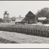 Turpentine still with barrels of resin in foreground. Iron City, Alabama
