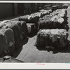 Burst bales of cotton on street near warehouse in Montgomery, Alabama