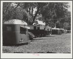 Tourist camp, showing many modern trailers crowded together, some of the families remaining for weeks and months. Dade City, Florida