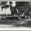 Tourist camp, showing many modern trailers crowded together, some of the families remaining for weeks and months. Dade City, Florida