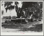 Tourist camp, showing many modern trailers crowded together, some of the families remaining for weeks and months. Dade City, Florida