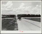 Highway near Greensboro, Georgia