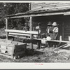 Pauline Clyburn, rehabilitation client, and her children stringing tobacco. Manning, Clarendon County, South Carolina