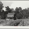 Pauline Clyburn, rehabilitation client, and some of her children at their tobacco barn. Manning, Clarendon County, South Carolina