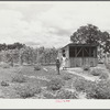Wife and daughter of Frederick Oliver, FSA (Farm Security Administration) tenant purchase client, bringing in eggs from chicken house. Summerton, South Carolina
