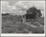Wife and daughter of Frederick Oliver, FSA (Farm Security Administration) tenant purchase client, bringing in eggs from chicken house. Summerton, South Carolina