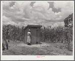 New privy on farm of Frederick Oliver, tenant purchase client. Summerton, South Carolina