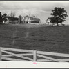 Dairy farm, North Carolina