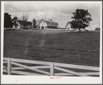 Dairy farm, North Carolina
