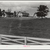 Dairy farm, North Carolina