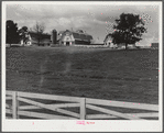 Dairy farm, North Carolina
