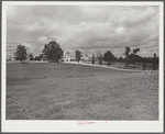 Dairy farm, North Carolina