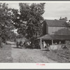 Stringing tobacco to go into curing house. Manning, South Carolina