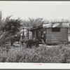 Fish store for migratory vegetable pickers near Lake Harbor, Florida
