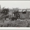 Fish store for migratory vegetable pickers near Lake Harbor, Florida