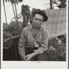 A migrant laborer waiting for work in one of the packing houses near Canal Point, Florida
