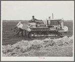 A whirling plough used by USSC (United States Sugar Corporation) in soft muck soil to prepare soil for planting sugarcane. Near Pahokee, Florida