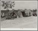 Migrant laborer's camp near packinghouse. Canal Point, Florida