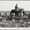 Fertilizer for large fields of sugarcane distributed by tractor-driven fertilizer machine. USSC (United States Sugar Corporation). Clewiston, Florida