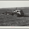Tractor-driven disc plough and harrow used in preparing large acres of flat muck lands on many Florida farms around Lake Okeechobee and Clewiston, Florida