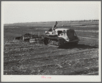 Tractor-driven disc plough and harrow used in preparing large acres of flat muck lands on many Florida farms around Lake Okeechobee and Clewiston, Florida