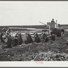 Tractor-driven disc gang plough used on large tracts of land before planting sugarcane. USSC (United States Sugar Corporation). Clewiston, Florida