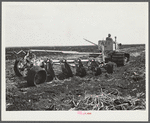 Tractor-driven disc gang plough used on large tracts of land before planting sugarcane. USSC (United States Sugar Corporation). Clewiston, Florida