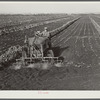 Motor-driven sprayer machine used on large farms to feed beans through leaves and kill white fly. Around Lake Okeechobee, Florida